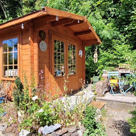 Villa Tan Y Coed'S Rosemary Cabin Conwy Exterior foto