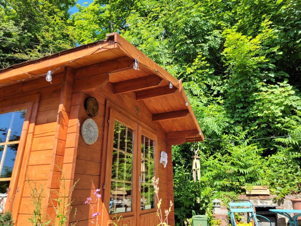 Villa Tan Y Coed'S Rosemary Cabin Conwy Exterior foto